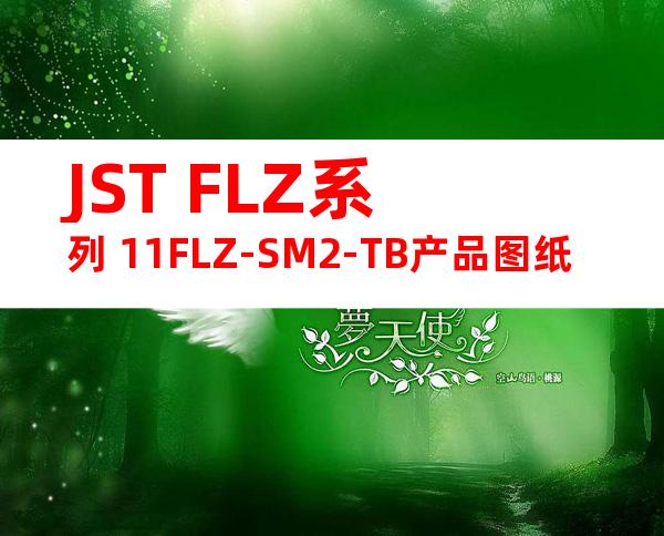 JST FLZ系列 11FLZ-SM2-TB产品图纸